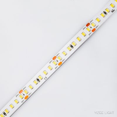 10mm 168LEDs/M Bright White Led Strip Lights RA 90 2835 DC24V LED Flex Ribbon