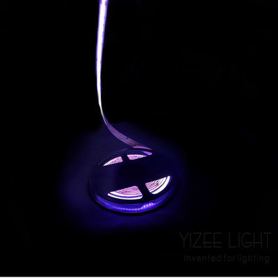 点のないカラーフル コブ Rgb Rgbw アドレス可能なLEDストライプ 784チップス/M 24V 12mm